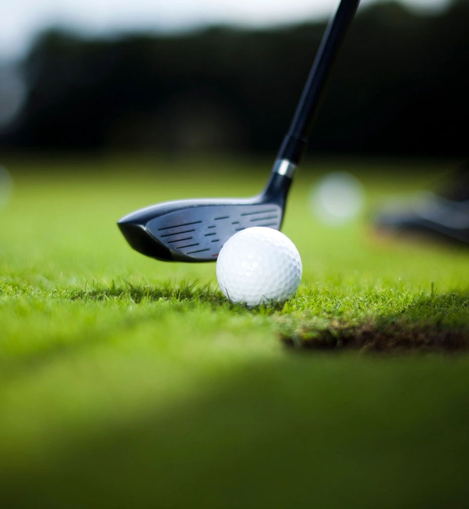 Golf ball with golf club on the green.